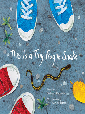 cover image of This Is a Tiny Fragile Snake